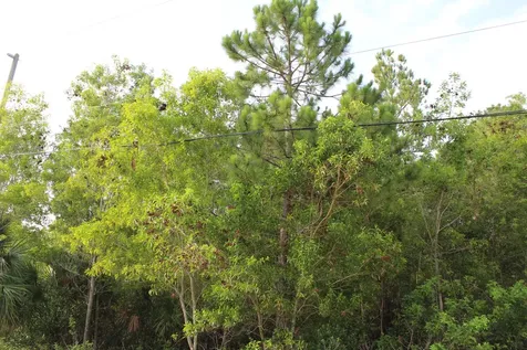 ''17395'' 94th Street Loxahatchee FL 33470