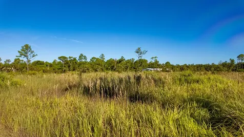 29460 Polk Drive Punta Gorda FL 33982