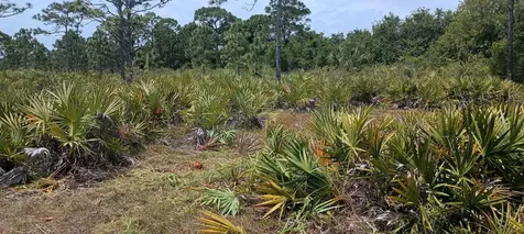 000 None Grant Valkaria FL 32950