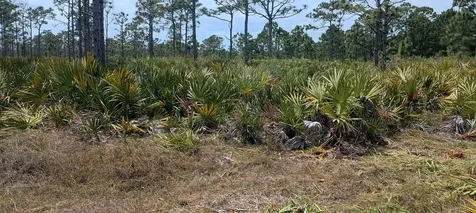 000 None Grant Valkaria FL 32950