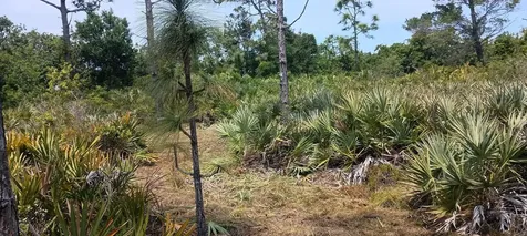 000 None Grant Valkaria FL 32950