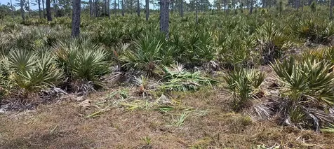 000 None Grant Valkaria FL 32950