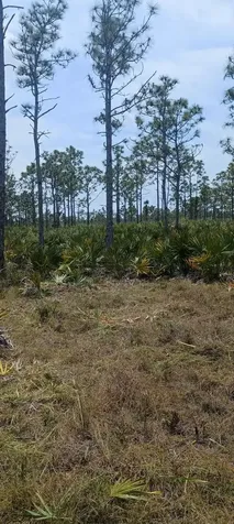 000 None Grant Valkaria FL 32950