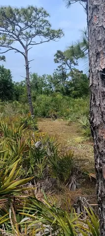 000 None Grant Valkaria FL 32950