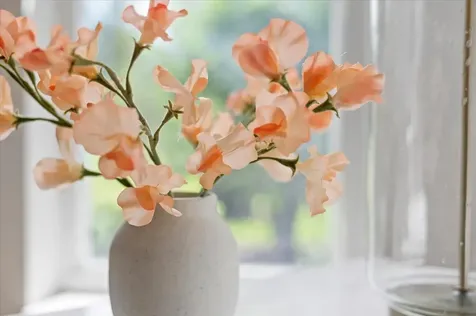 2221 Sw Whitemarsh Way Palm City FL 34990