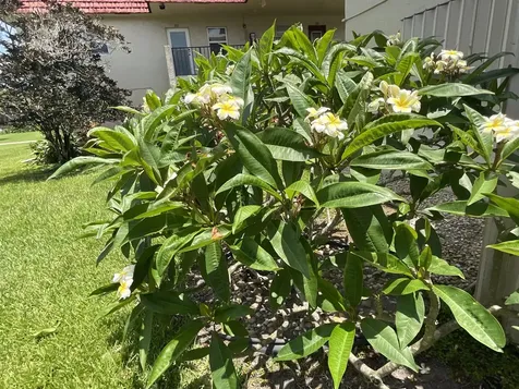 21 Abbey Lane Delray Beach FL 33446