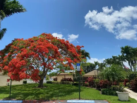 806 Sky Pine Way Greenacres FL 33415