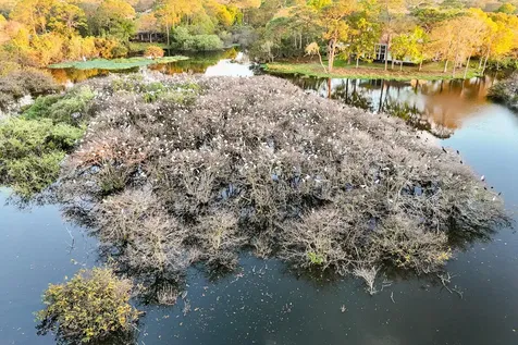 13312 Nw Maplewood Road Palm City FL 34990