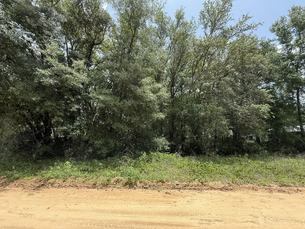 604 Kitty Avenue Interlachen FL 32148