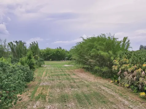 2105 Jewel Lane Loxahatchee Groves FL 33470