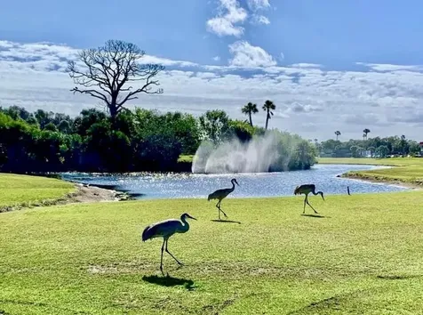 70 Royal Oak Court Vero Beach FL 32962