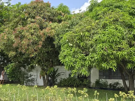 304 Knob Hill Boulevard Boca Raton FL 33431