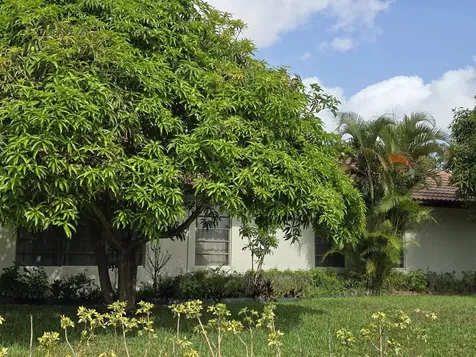 304 Knob Hill Boulevard Boca Raton FL 33431