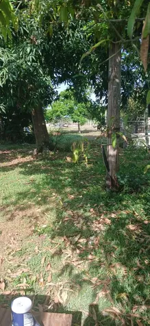 1709 Nw Avenue G Avenue Belle Glade FL 33430