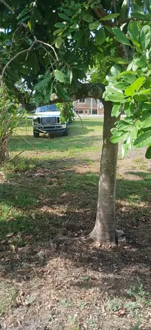 1709 Nw Avenue G Avenue Belle Glade FL 33430