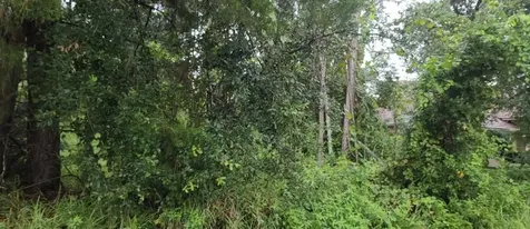 112 Ryberry Drive Palm Coast FL 32164