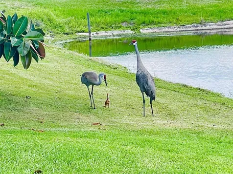 1036 Greenway Terrace Sebring FL 33876