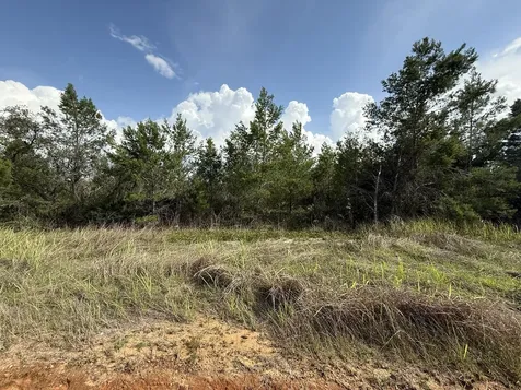 2921 W Seville Drive Avon Park FL 33825