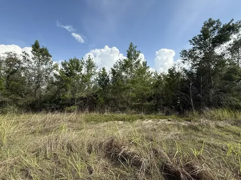 2921 W Seville Drive Avon Park FL 33825