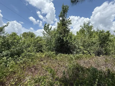 Tbd Snug Street North Port FL 34286