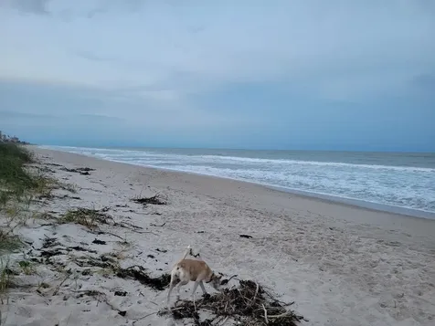 0 North Ocean Drive Hutchinson Island FL 34949