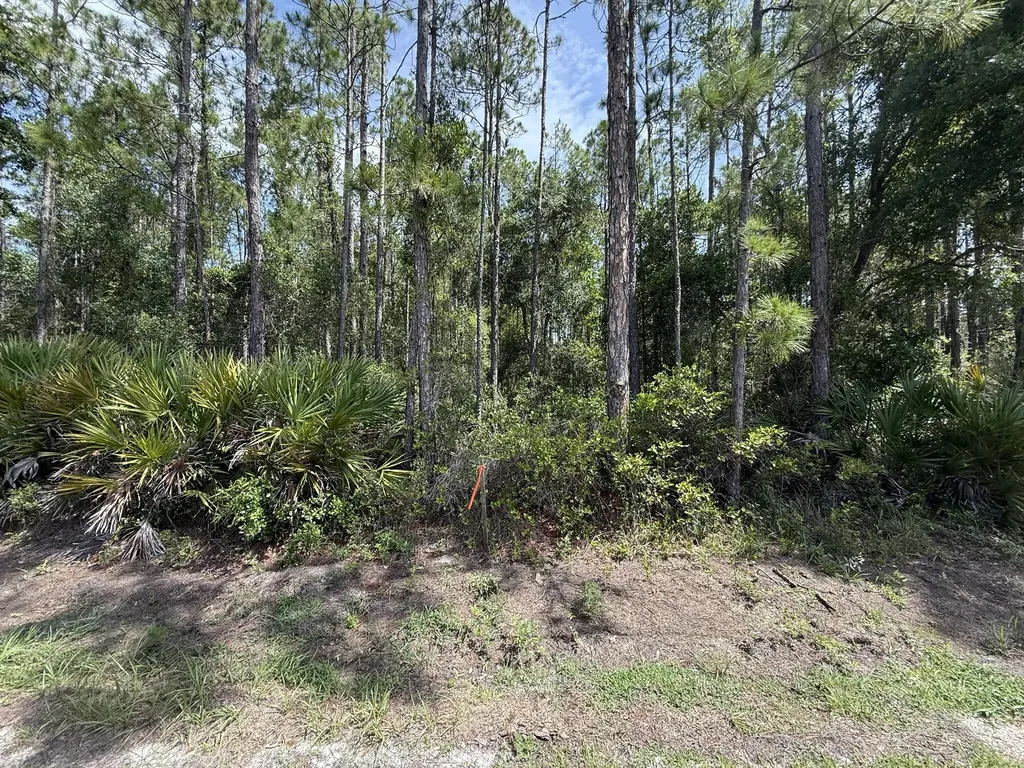 178 Millican Road Palatka FL 32177