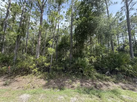 178 Millican Road Palatka FL 32177