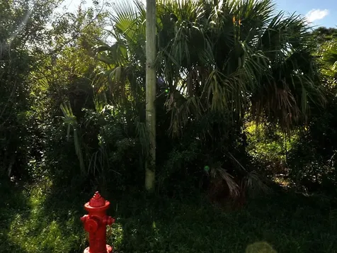 884 SW Mccoy Avenue Port Saint Lucie FL 34953