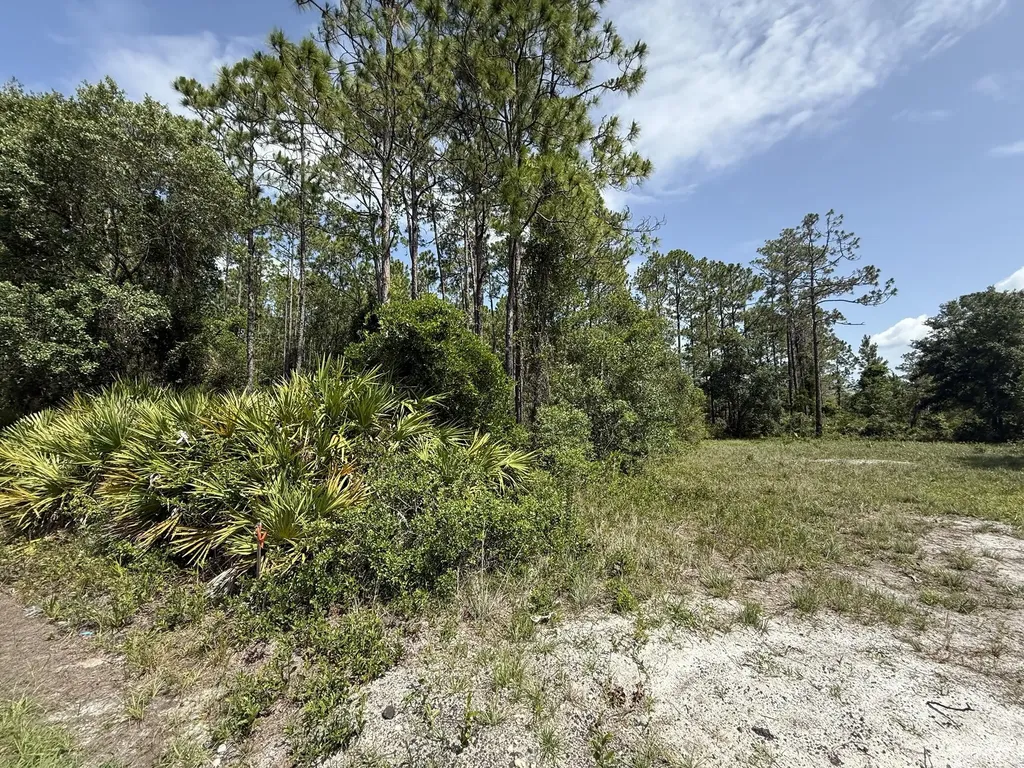174 Millican Road Palatka FL 32177