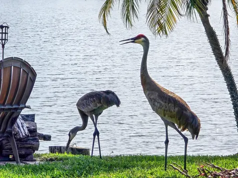 1936 Sw Wood Duck Lane Palm City FL 34990