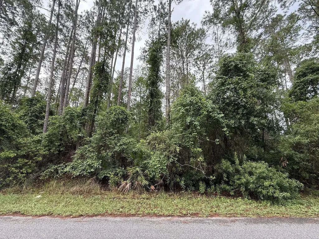 242 Lakeway Drive Georgetown FL 32139