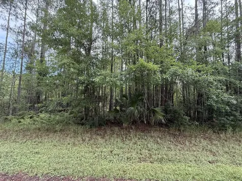 242 Lakeway Drive Georgetown FL 32139