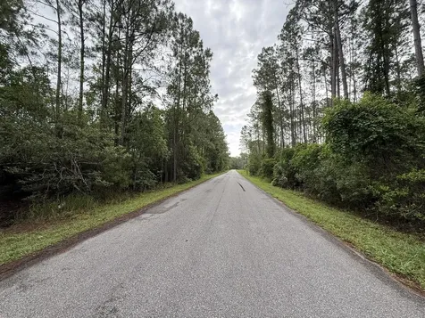 242 Lakeway Drive Georgetown FL 32139