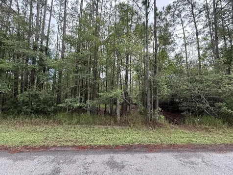 242 Lakeway Drive Georgetown FL 32139