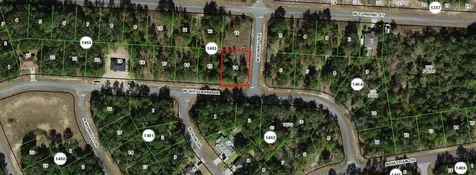 1975 W Shellbark Drive Citrus Springs FL 34434