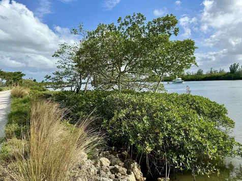9460 Seagrape Drive Vero Beach FL 32963