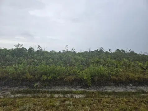 17439 NW 300th Street Okeechobee FL 34972