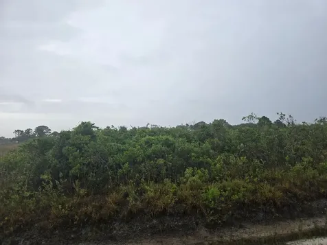 17439 NW 300th Street Okeechobee FL 34972