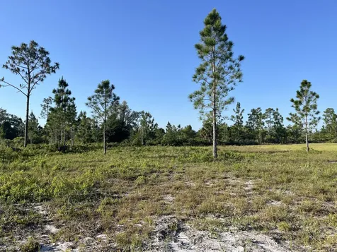0 Calendula Drive Indian Lake Estates FL 33855