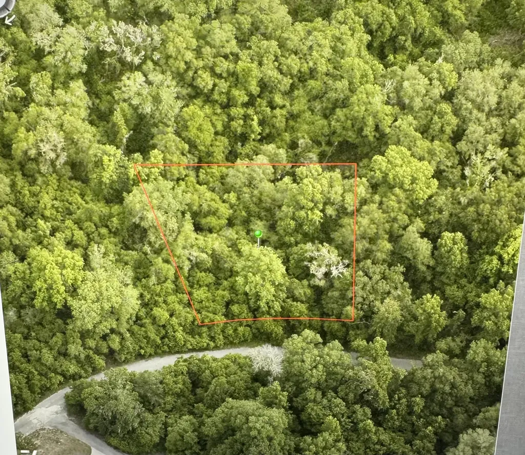 6761 E Dogwood Hammock Drive Inverness FL 34453