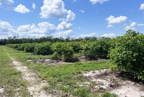 Tbd Orange Avenue Extension Fort Pierce FL 34945