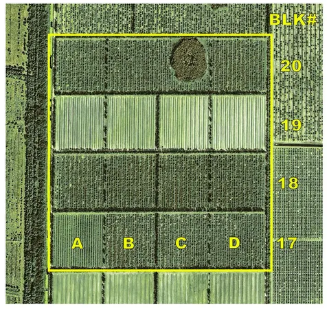 Tbd Orange Avenue Extension Fort Pierce FL 34945