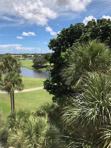 6895 Willow Wood Drive Boca Raton FL 33434