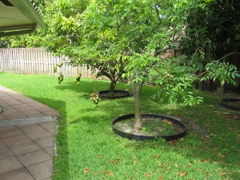 3207 Nw 89th Terrace Coral Springs FL 33065