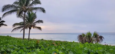 740 E Ocean Avenue Boynton Beach FL 33435