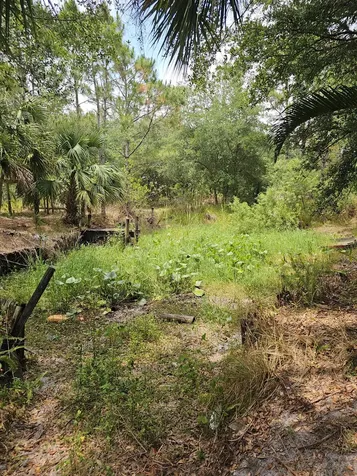 15750 Nw 294 Street Okeechobee FL 34972