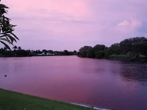 920 Sw 11th Terrace Boca Raton FL 33486