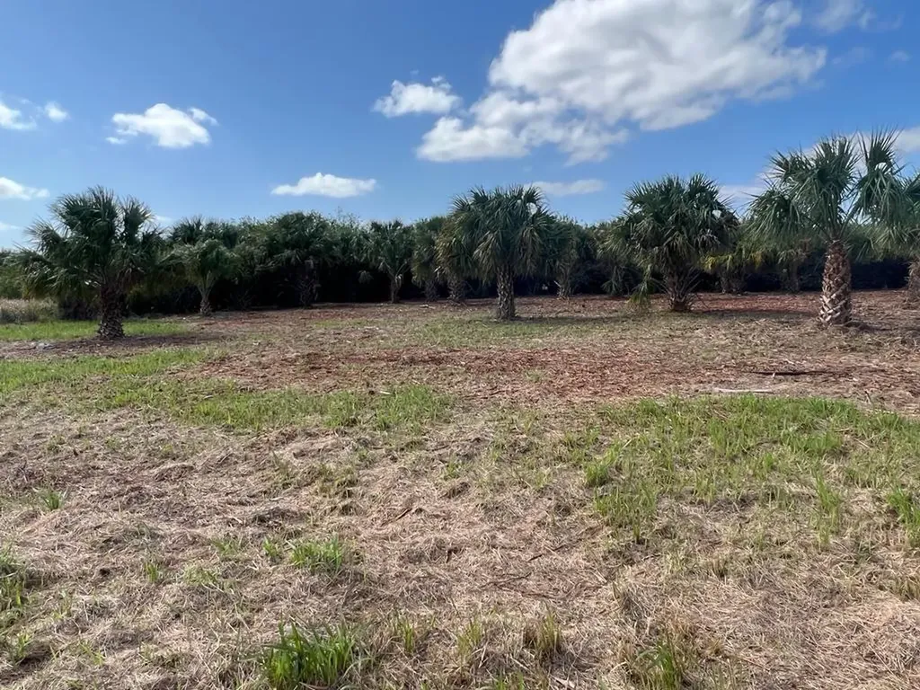 2182 Sparta Avenue Palm Bay FL 32908