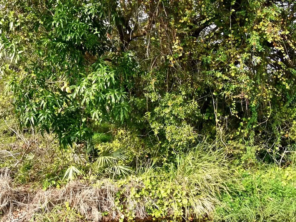 Tbd N 37th Street Fort Pierce FL 34947