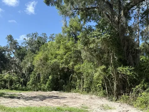 115 Roddy Lane Palatka FL 32177